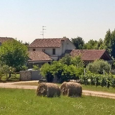 コネリアーノ Il Giuggiolo Bed & Breakfast エクステリア 写真