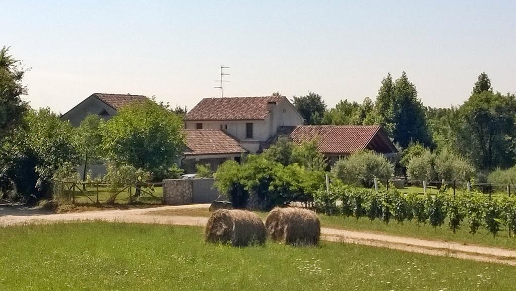 コネリアーノ Il Giuggiolo Bed & Breakfast エクステリア 写真