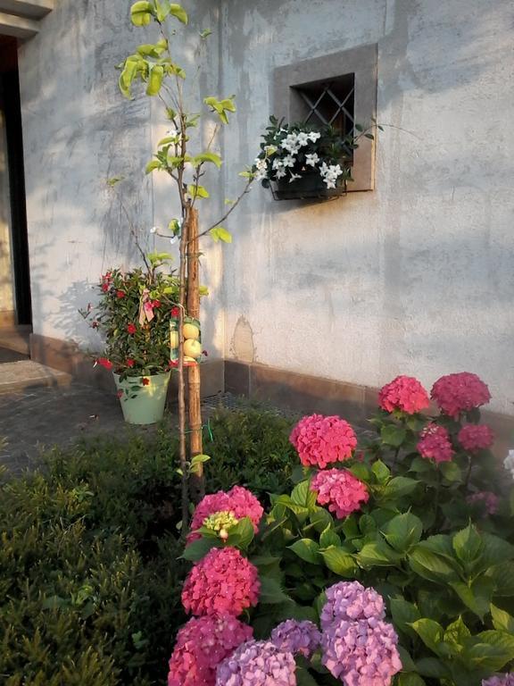 コネリアーノ Il Giuggiolo Bed & Breakfast エクステリア 写真